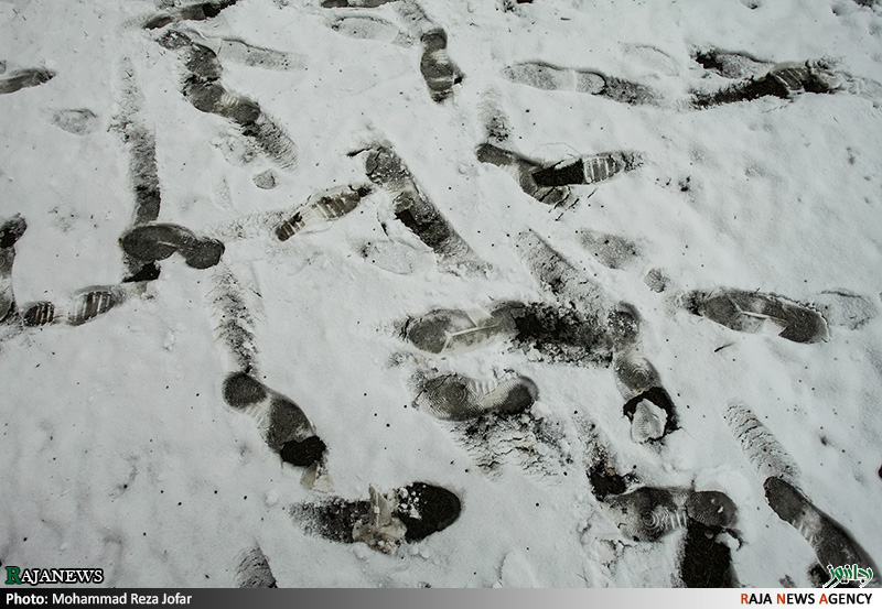 تصاویر:: بارش برف در تهران